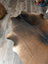 Large brown and black angus oliver cowhide rug with natural irregular edges perfect for stylish spaces