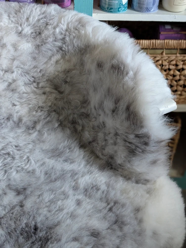 A plush fluffy gray and white large spotted icelandic sheepskin rug with soft natural texture made of short wool