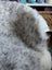 A plush fluffy gray and white large spotted icelandic sheepskin rug with soft natural texture made of short wool