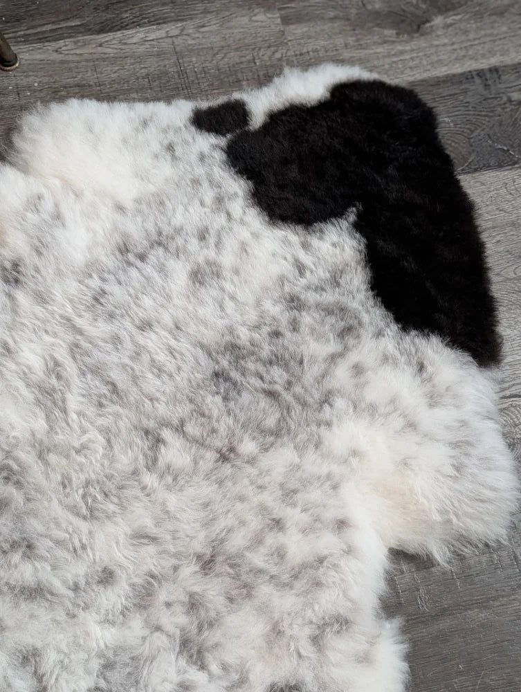 A large 46 x 34 inch spotted icelandic sheepskin rug with soft white wool and irregular black patches