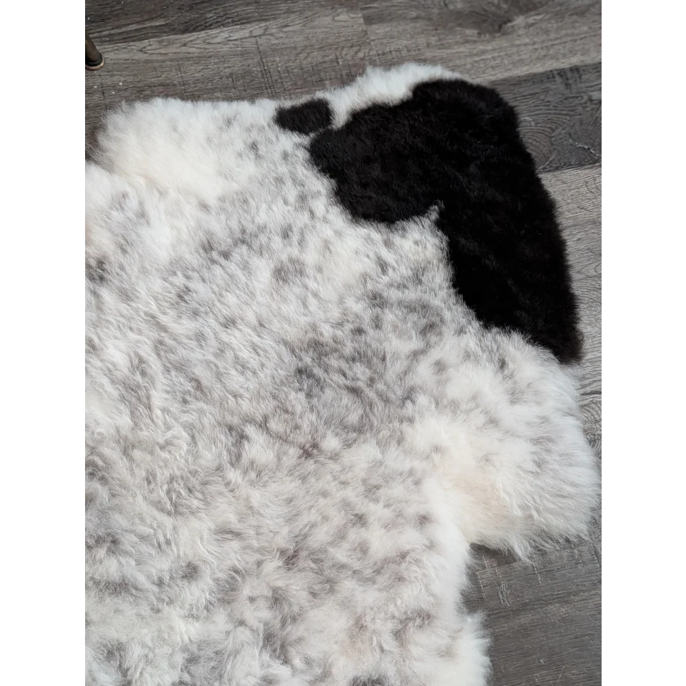 A large 46 x 34 inch spotted icelandic sheepskin rug with soft white wool and irregular black patches