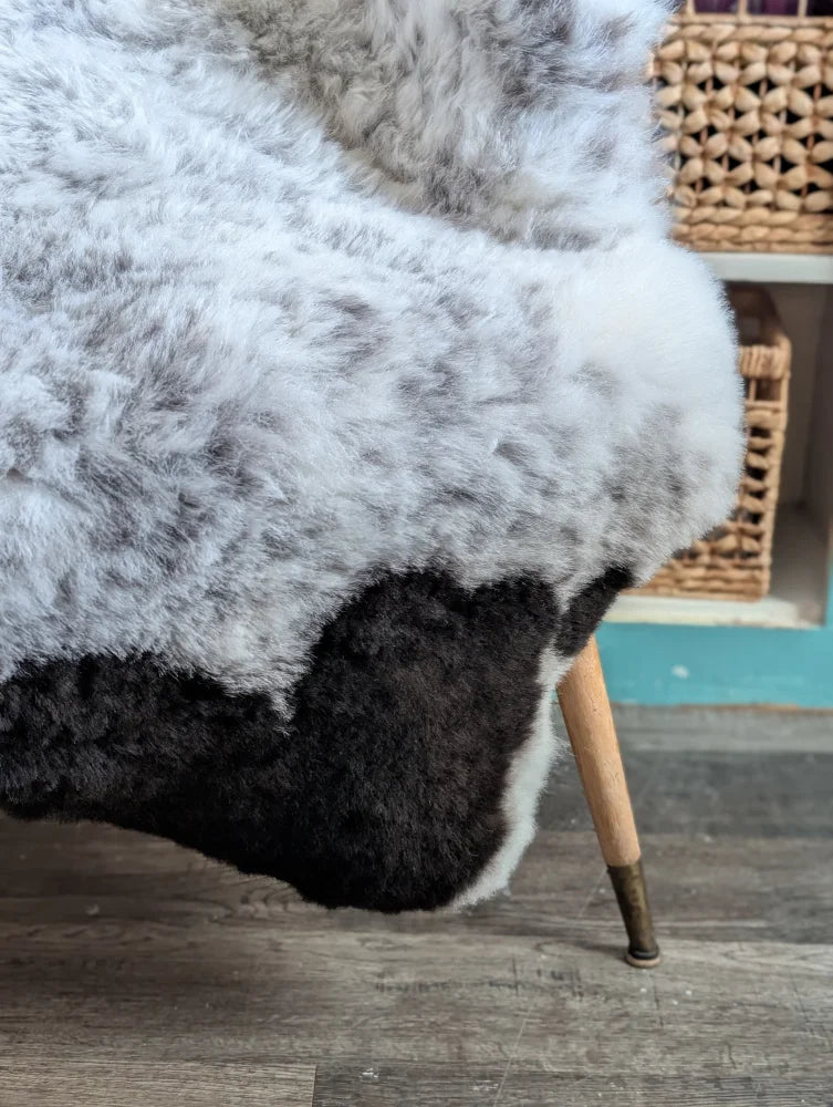 A large plush spotted icelandic sheepskin rug in soft white and black patchwork natural short wool texture