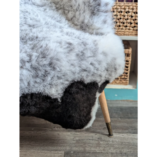 A large plush spotted icelandic sheepskin rug in soft white and black patchwork natural short wool texture