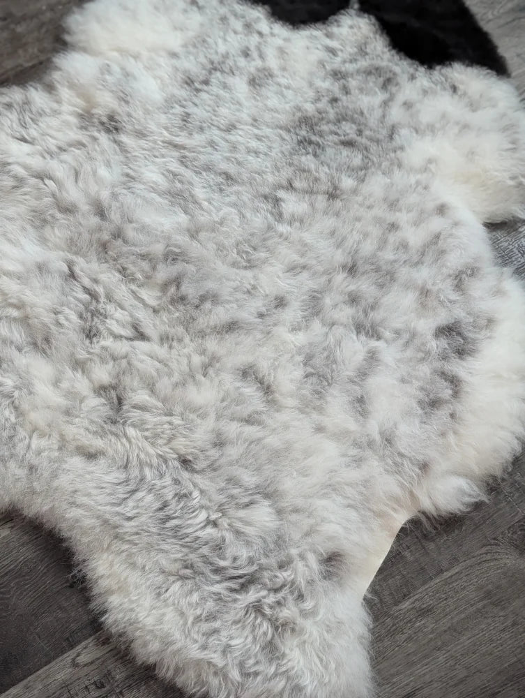 A soft large icelandic sheepskin rug with a fluffy medium spotted white and gray natural wool pattern