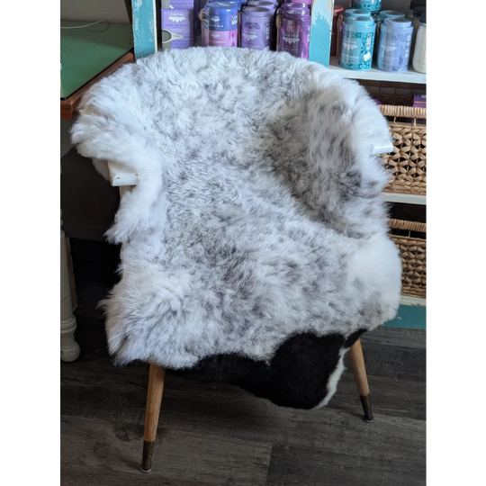A large spotted icelandic sheepskin rug with soft white and gray gradient draped over a wooden chair back