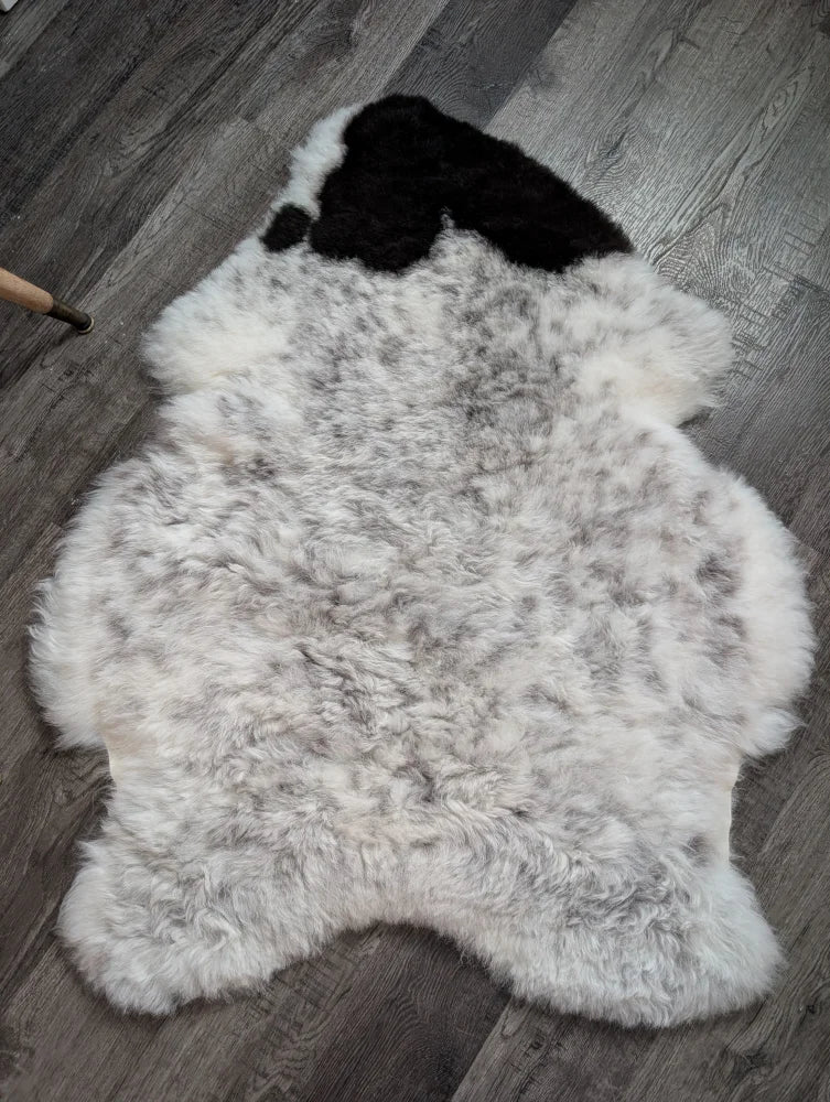 A large 46 x 34 inch plush spotted icelandic sheepskin rug with soft white gray fur and a black patch on top left side