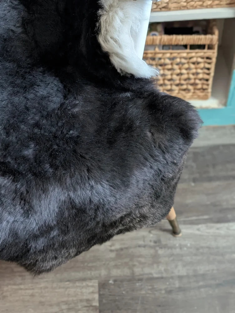 Black faux fur throw blanket with soft plush texture and white trim made from icelandic sheepskin short wool