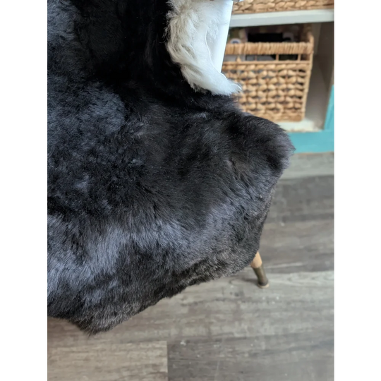 Black faux fur throw blanket with soft plush texture and white trim made from icelandic sheepskin short wool