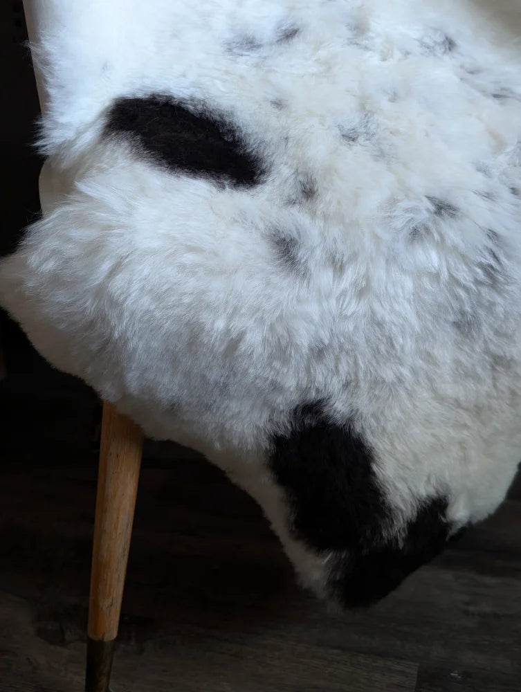 Large 45.5 x 31 inch icelandic sheepskin rug with medium black and white spotted soft fluffy wool texture