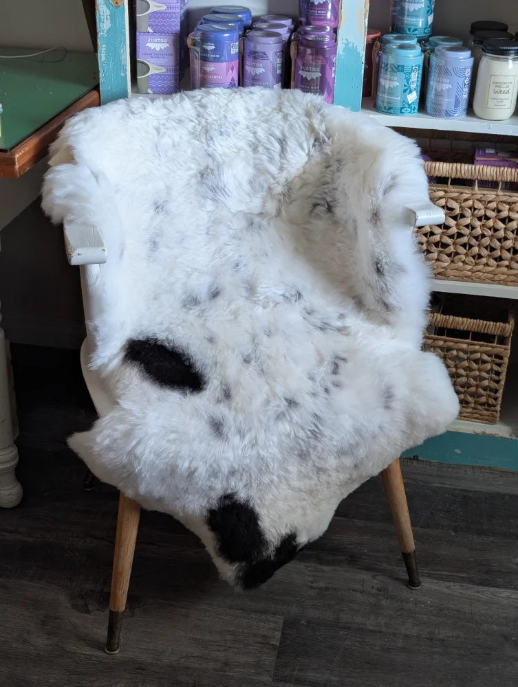 A plush white and black medium spotted icelandic sheepskin rug draped over a wooden chair with metal legs