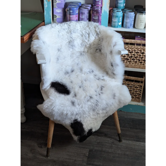 A plush white and black medium spotted icelandic sheepskin rug draped over a wooden chair with metal legs