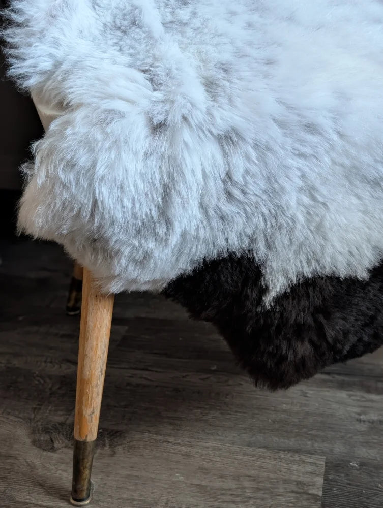 A plush two toned spotted icelandic sheepskin rug with soft white and dark gray wool texture 45 x 29 inches