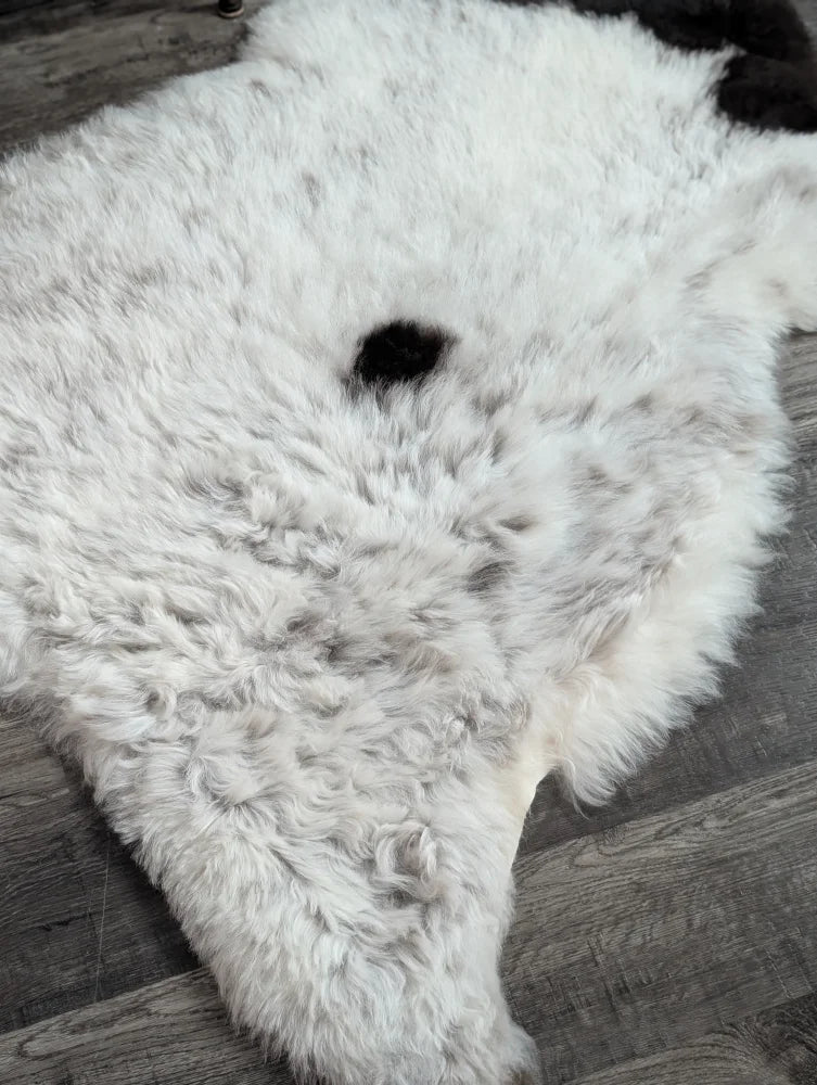 A plush white large spotted icelandic sheepskin rug with a black spot made of short wool measuring 45 by 29 inches