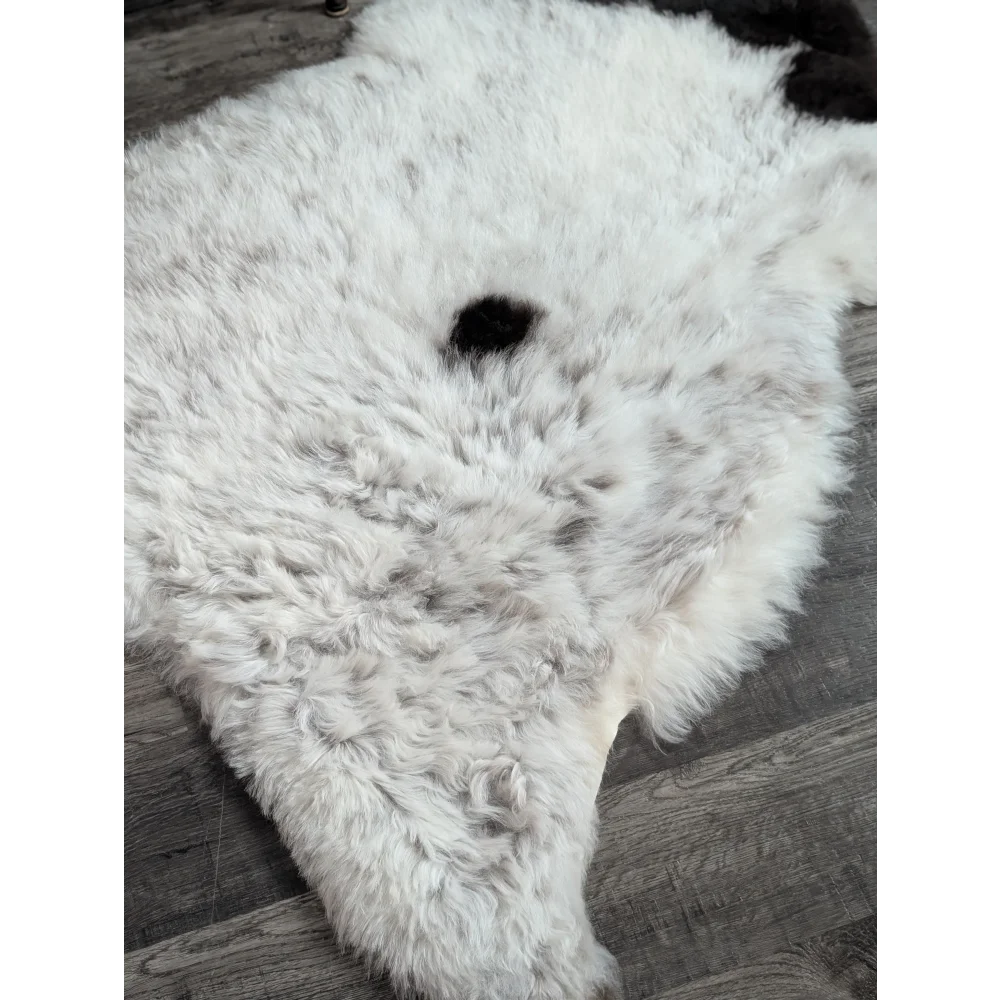 A plush white large spotted icelandic sheepskin rug with a black spot made of short wool measuring 45 by 29 inches