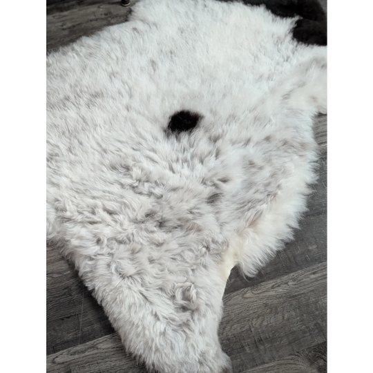 A plush white large spotted icelandic sheepskin rug with a black spot made of short wool measuring 45 by 29 inches