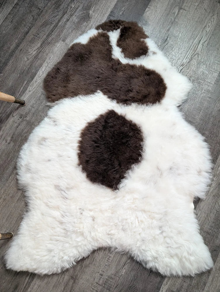 A large plush white and brown medium spotted icelandic sheepskin rug with soft fluffy short wool texture