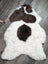 A large plush white and brown medium spotted icelandic sheepskin rug with soft fluffy short wool texture