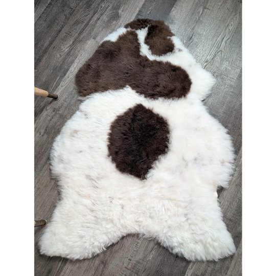A large plush white and brown medium spotted icelandic sheepskin rug with soft fluffy short wool texture