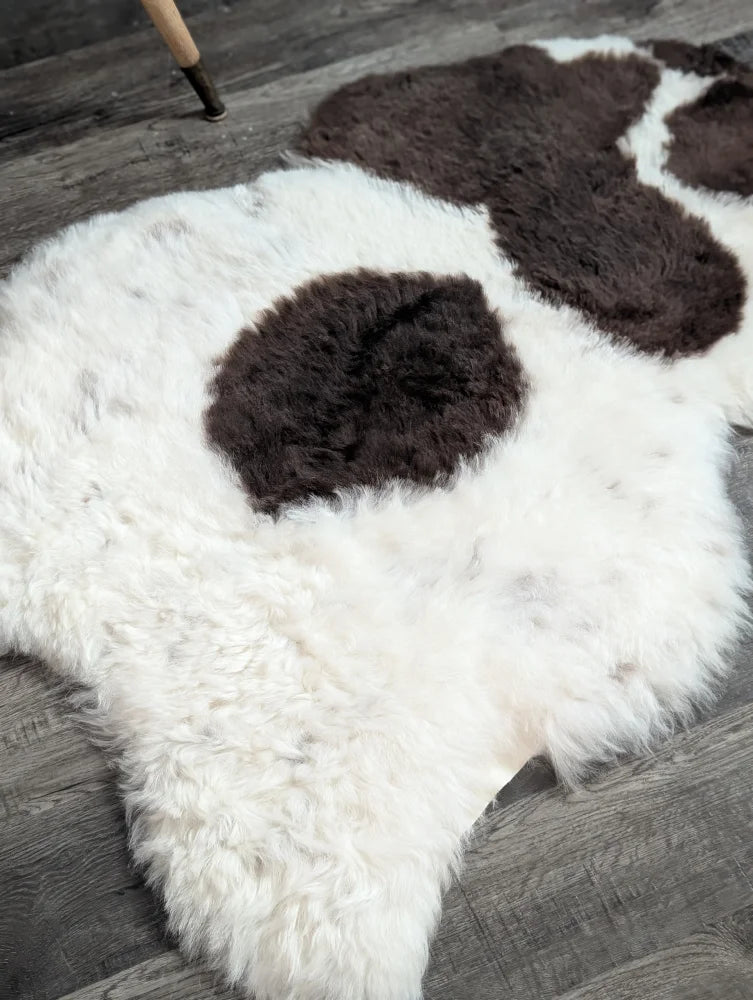 White and brown large icelandic sheepskin rug with fluffy short wool and medium spotted icelandic pattern