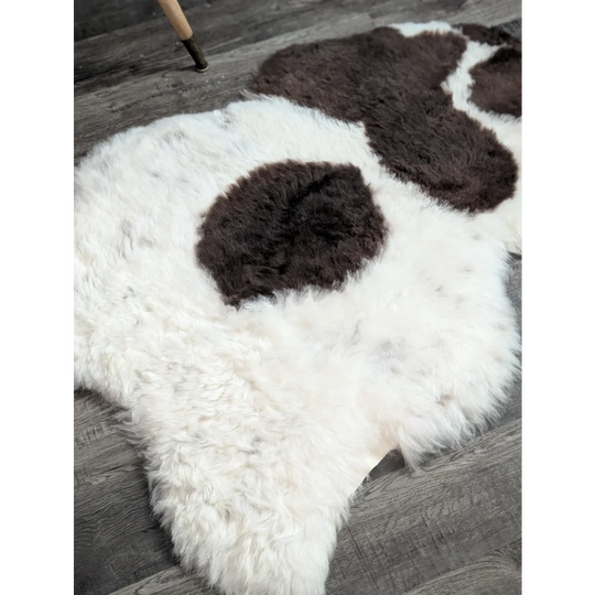 White and brown large icelandic sheepskin rug with fluffy short wool and medium spotted icelandic pattern