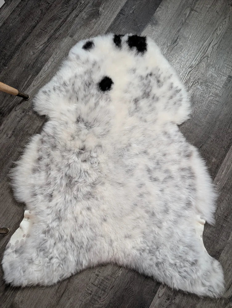 A plush large icelandic sheepskin rug in white and gray with three black spots perfect as a medium spotted icelandic decor