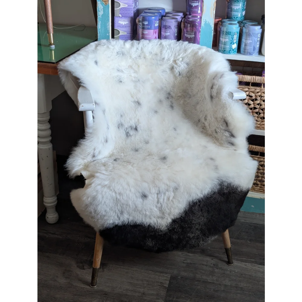 White wooden armchair with a medium spotted Icelandic sheepskin cover in black and white short wool