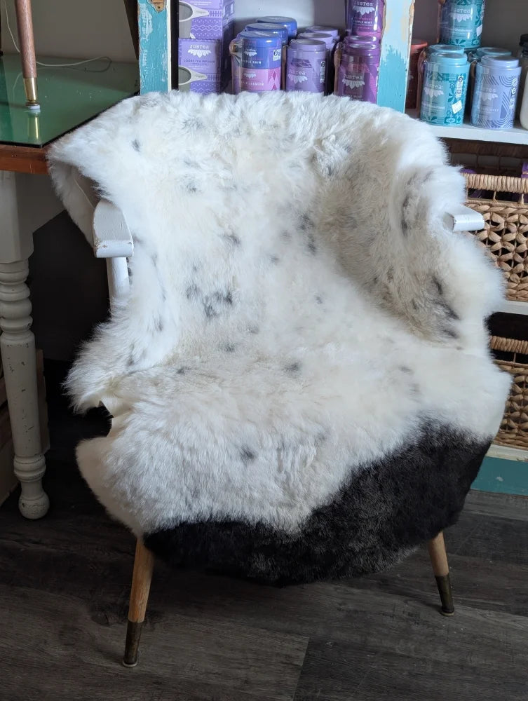 White wooden armchair with a medium spotted Icelandic sheepskin cover in black and white short wool