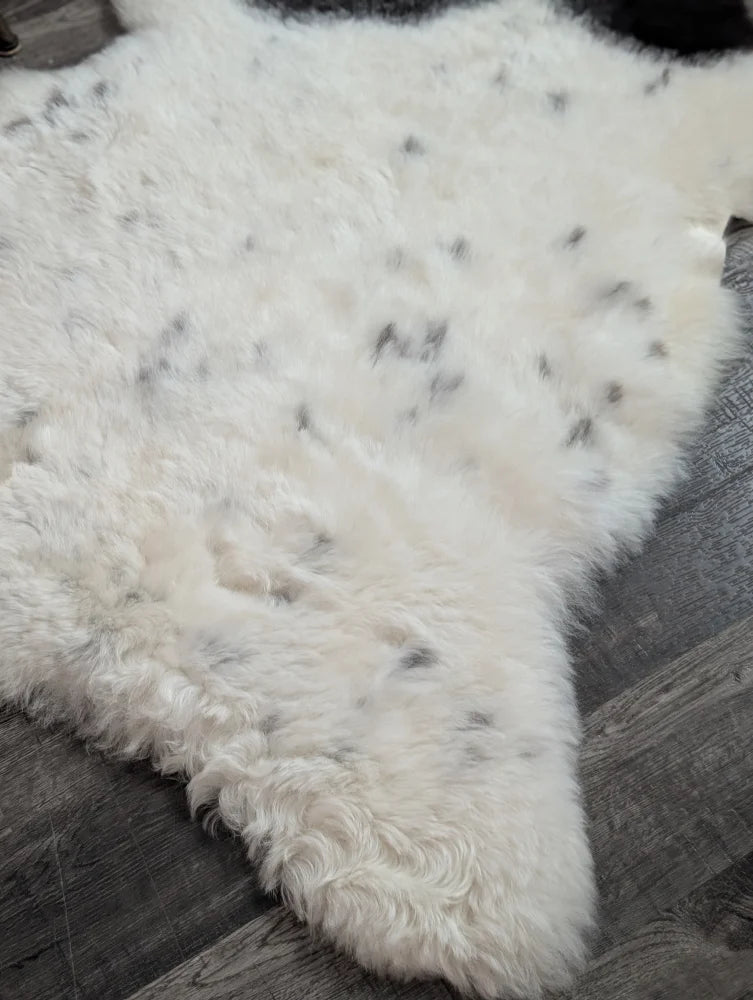 White spotted icelandic sheepskin rug with soft curly fur and dark gray speckles medium spotted icelandic style