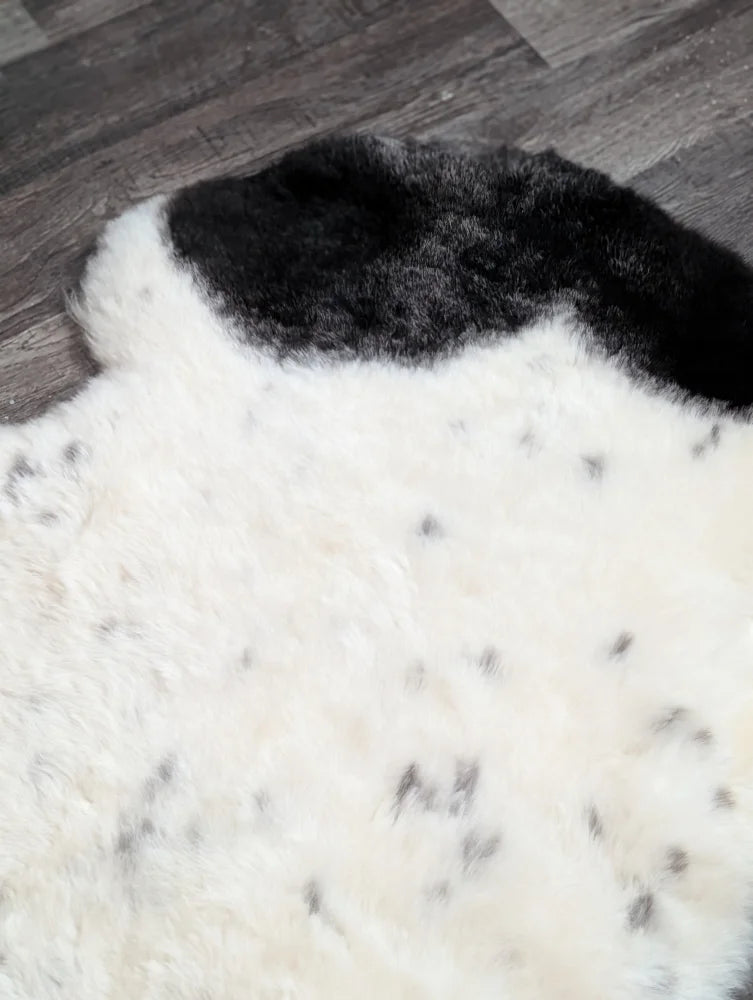 A plush white and black medium spotted icelandic sheepskin rug with soft fluffy texture 45 by 30 inches