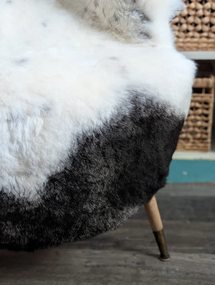 A plush spotted icelandic sheepskin throw blanket in gradient white to black with soft natural wool texture and 45 by 30 size