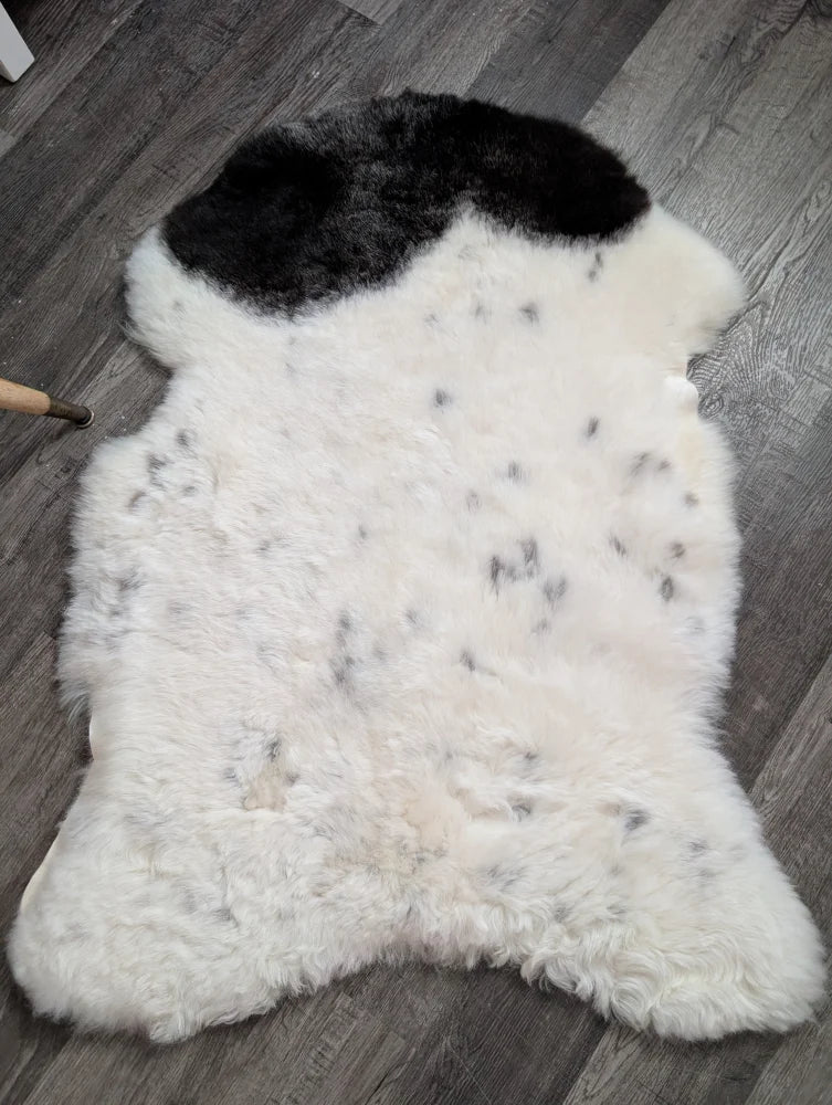 A large 45 x 30 inch medium spotted icelandic sheepskin rug with white wool, black patch, and dark speckles