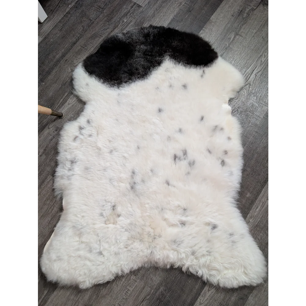A large 45 x 30 inch medium spotted icelandic sheepskin rug with white wool, black patch, and dark speckles