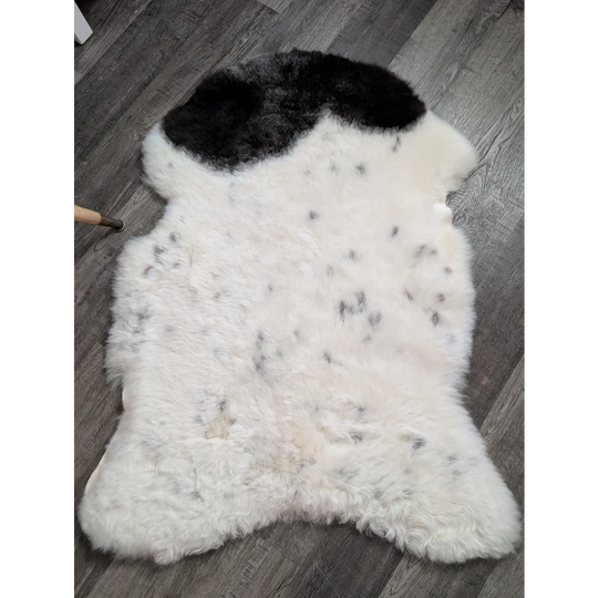 A large 45 x 30 inch medium spotted icelandic sheepskin rug with white wool, black patch, and dark speckles
