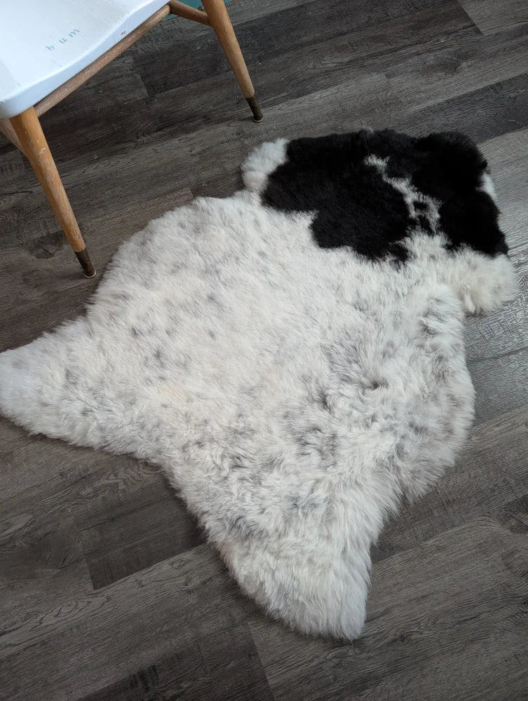 A large irregular icelandic sheepskin rug with soft white base and bold black spots medium spotted icelandic wool
