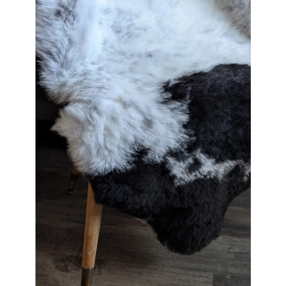 A large spotted icelandic sheepskin rug with soft white and black medium spotted short wool texture