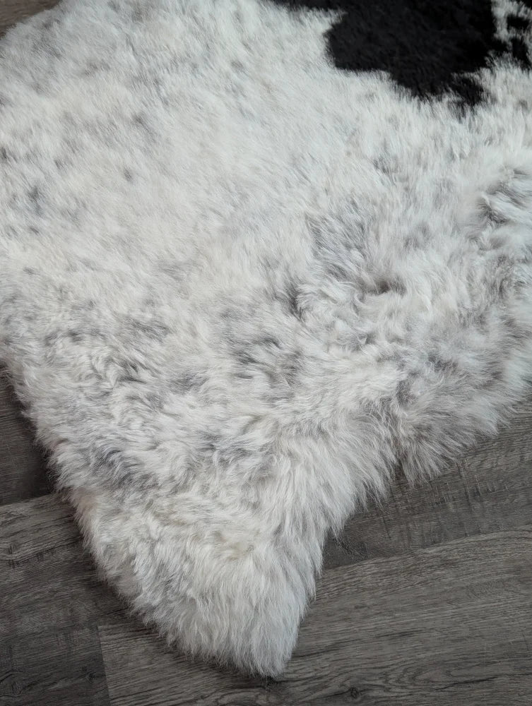 A large spotted icelandic sheepskin rug in white and black with soft fluffy short wool perfect for cozy spaces