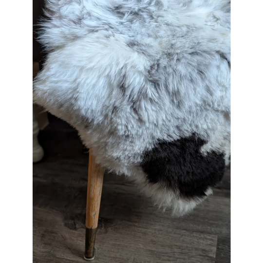 A plush spotted icelandic sheepskin stool with soft white and black medium spotted icelandic wool texture