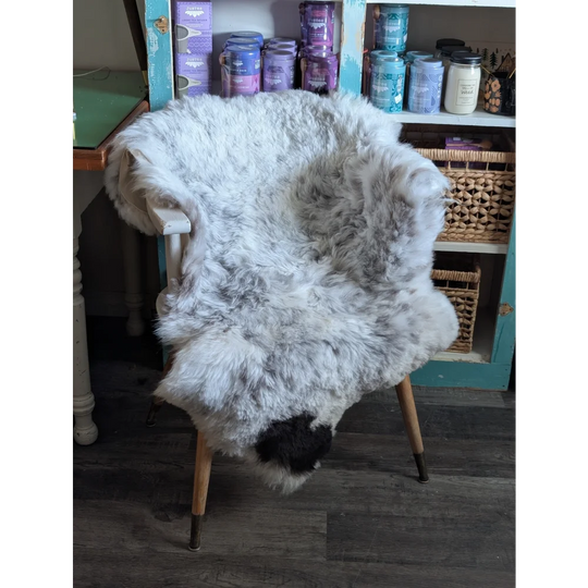 A plush fluffy icelandic sheepskin rug with medium spotted icelandic white gray wool and a black patch at the bottom