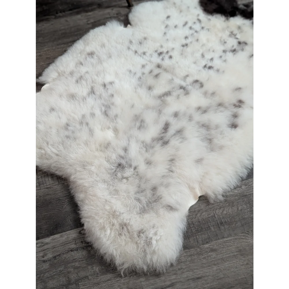 A large 43 by 33 inch spotted icelandic sheepskin rug with soft white fur and medium dark gray speckles