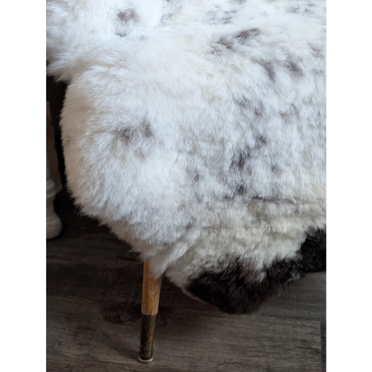 Large spotted icelandic sheepskin rug in white and gray speckled short wool with a soft fluffy texture