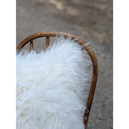 The moo cushion 