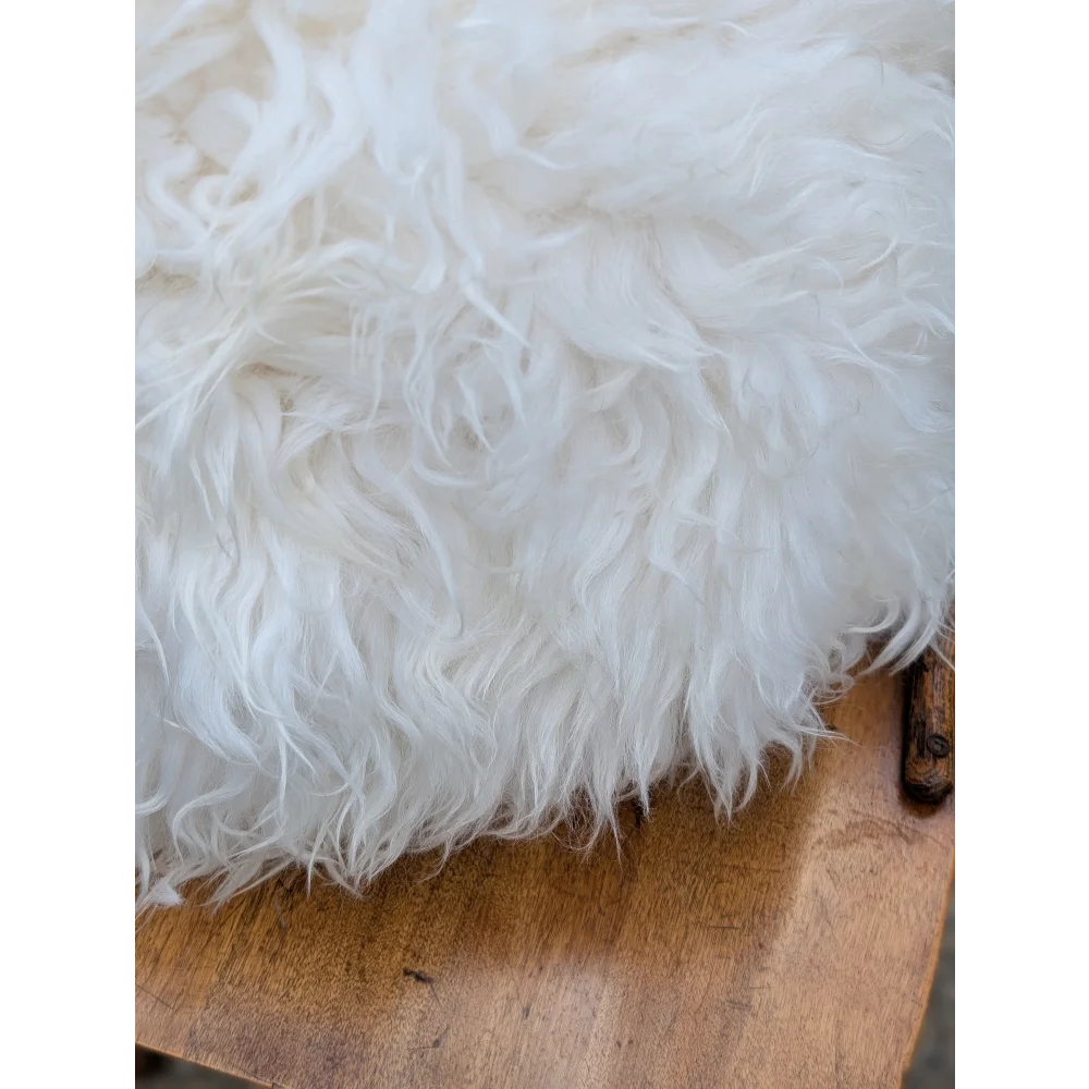 The moo cushion 