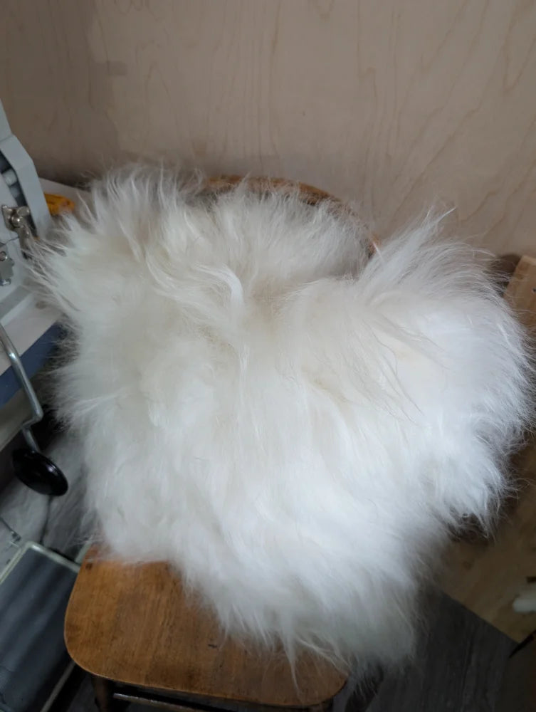 The moo cushion plush white fur throw with long wool draped over a wooden chair by angus oliver