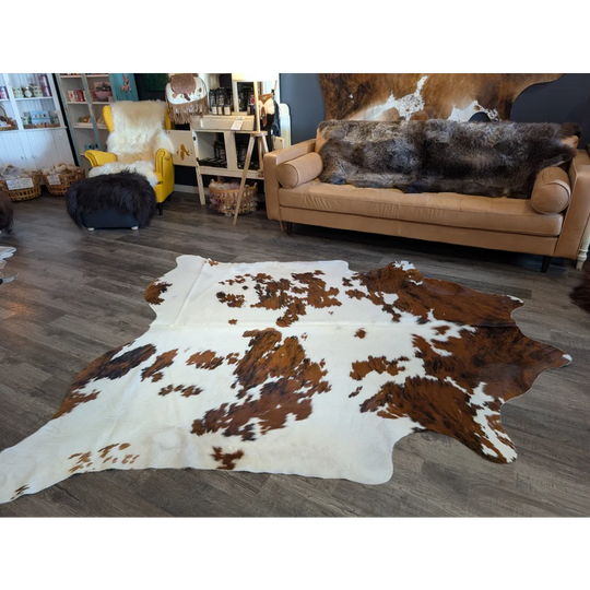 Extra large cowhide rug tri604 with beautiful natural brown and white patches on creamy base perfect for large cowhide lovers