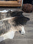 Tri605 extra large cowhide rug with striking black white and brownish gray marbling perfect for beautiful rugs and large cowhide use