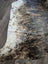 Brown and white beautiful rugs extra large cowhide with natural fur texture perfect for stylish home decor