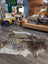 A beautiful extra large brown and white natural cowhide rug with a textured irregular pattern perfect for floors