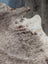 Extra large natural brown and white cowhide rug with textured fur surface perfect for beautiful rugs or large cowhide decor
