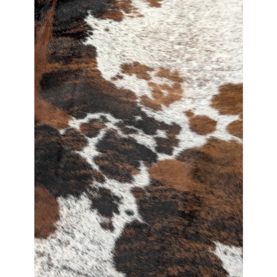 Brown black and white tricolour