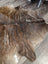 Brown and white extra large cowhide rug with rustic charm and unique characteristics featuring natural irregular edges